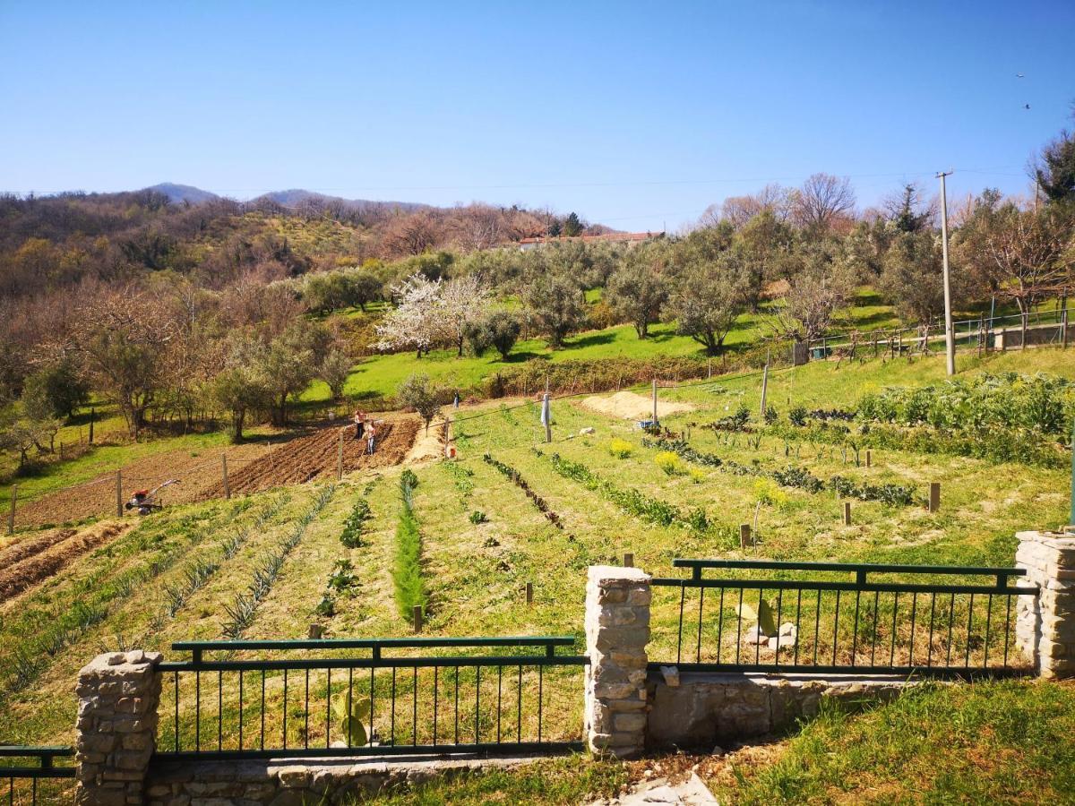 Agriturismo Olimpo Villa Santa Maria  Zewnętrze zdjęcie