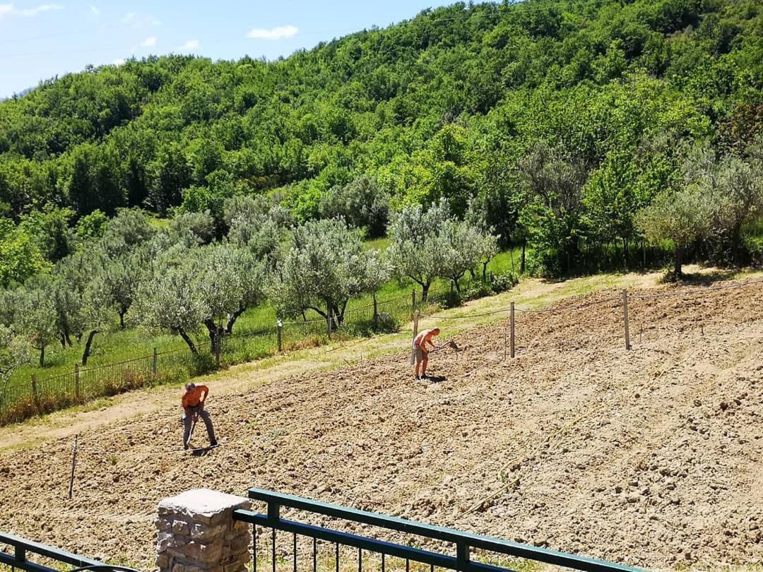 Agriturismo Olimpo Villa Santa Maria  Zewnętrze zdjęcie